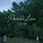 Possible Love en Netflix